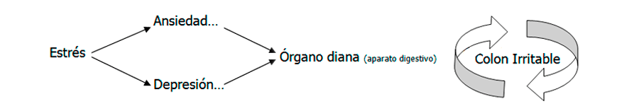 Tratamiento del intestino irritable Valencia - Cuadro ansiedad